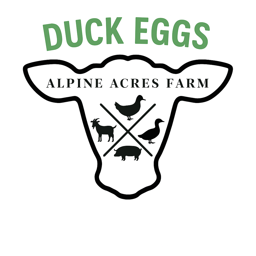 Duck Eggs