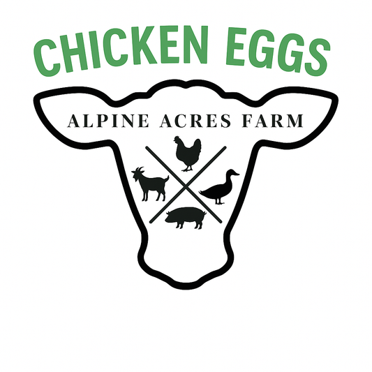Chicken Eggs