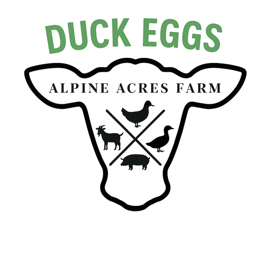Duck Eggs