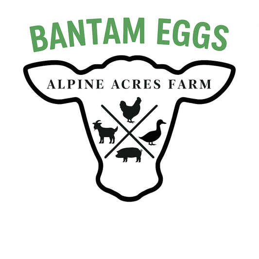 Bantam Eggs
